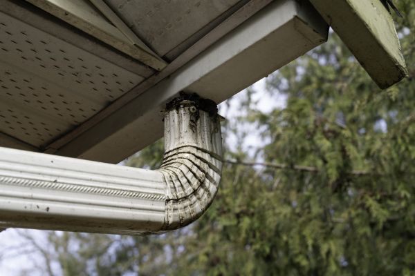 Roof Drain Replacement in Easley